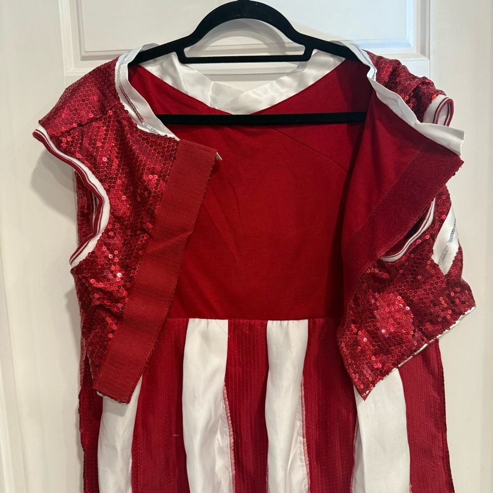 Maggie Waggy Sequin Cheerleader Dog Costume | XXL | New With Tags - Picture 8 of 10